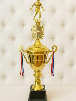 Copa de Oro 01