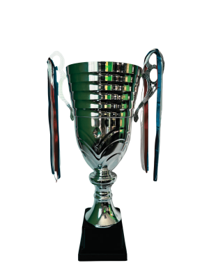 Copa de Plata 02