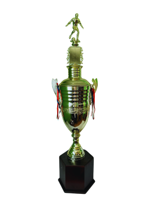 Copa de Oro 02
