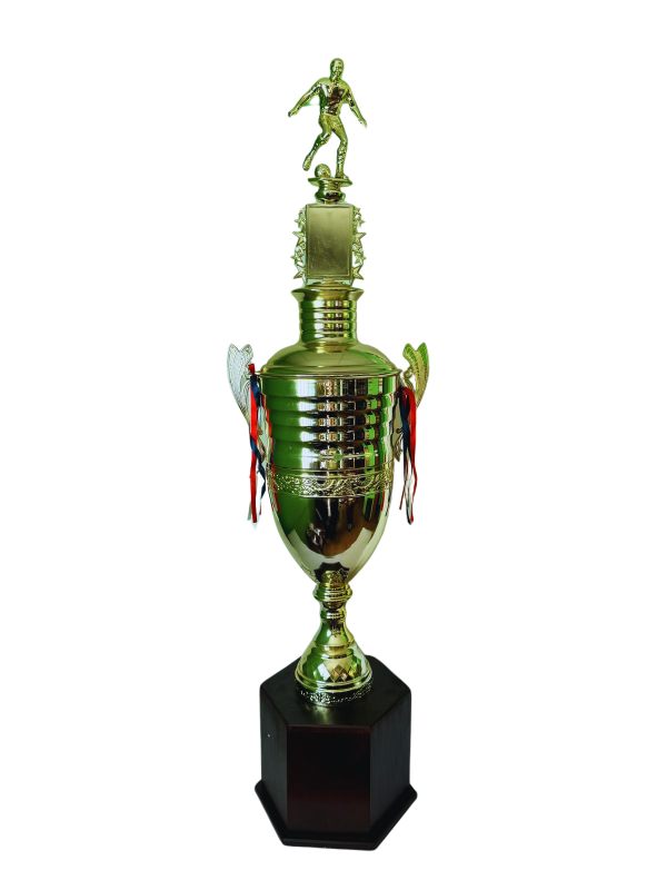 Copa de Oro 02