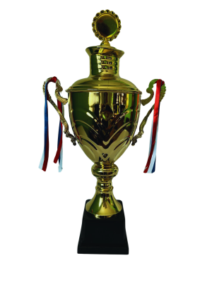 Copa de Oro 06