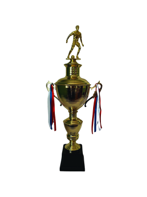 Copa de Oro 07