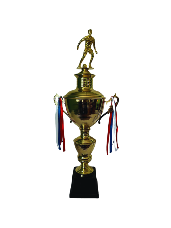 Copa de Oro 07