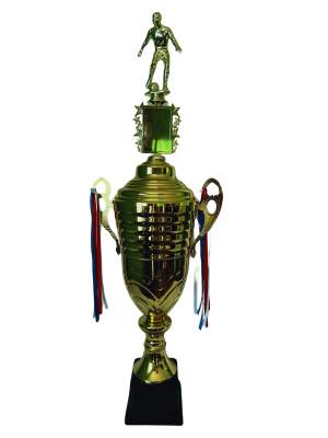 Copa de Oro 08