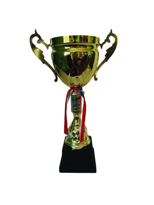 Copa de Oro 09