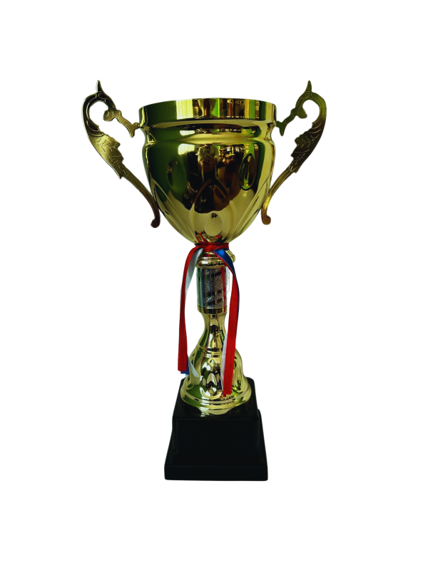 Copa de Oro 09