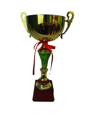 Copa de Oro 10