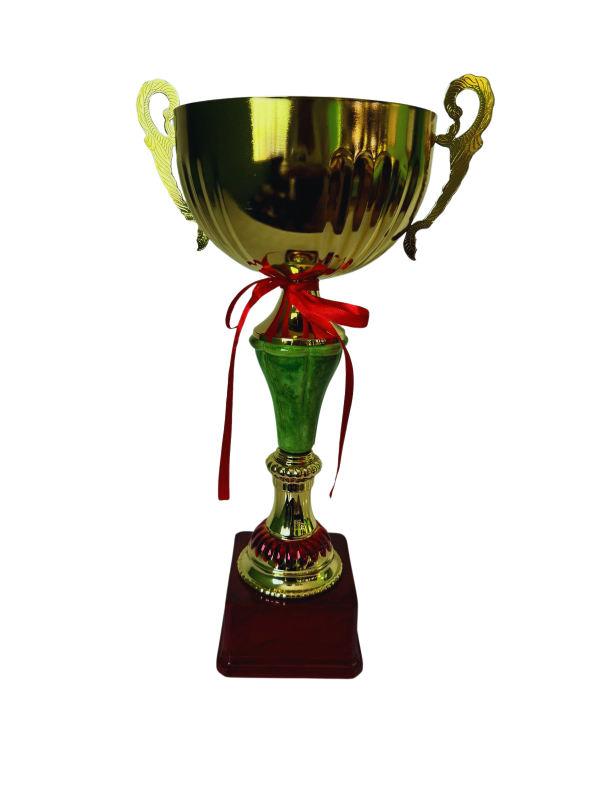 Copa de Oro 10