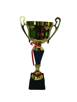 Copa de Oro 11