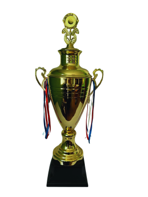Copa de Oro 12