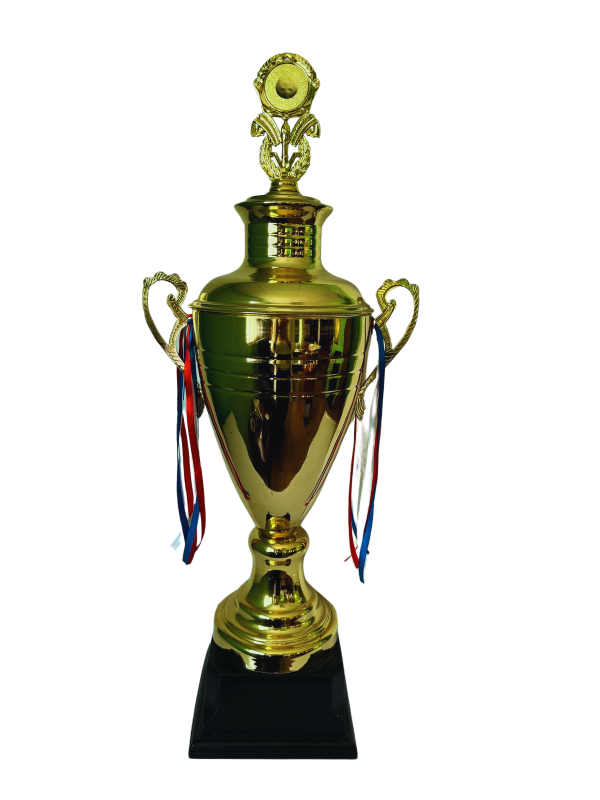 Copa de Oro 12