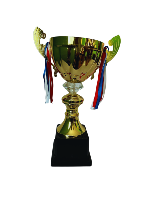 Copa de Oro 13