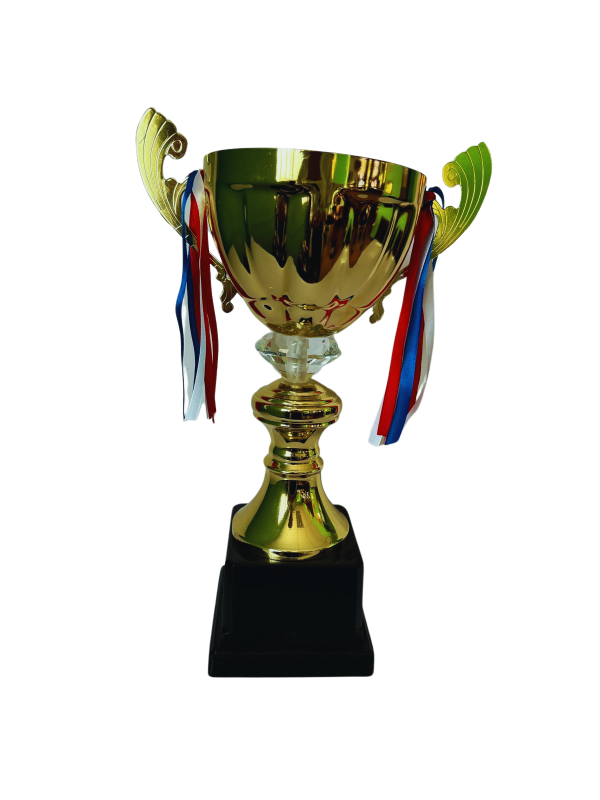 Copa de Oro 13