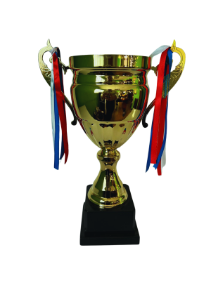 Copa de Oro 14