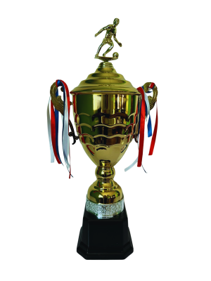 Copa de Oro 15