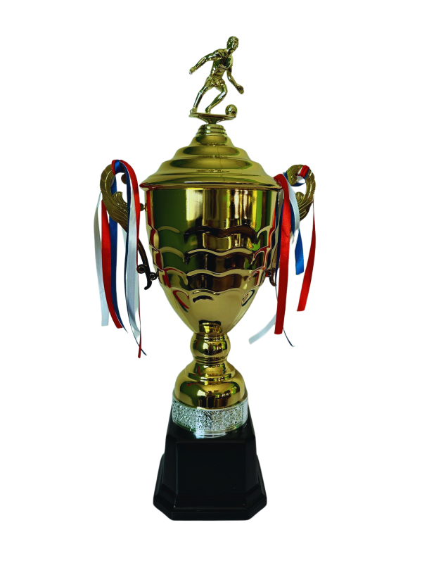 Copa de Oro 15