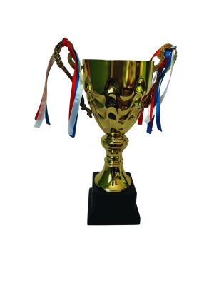 Copa de Oro 16