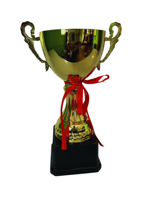 Copita de Oro 17