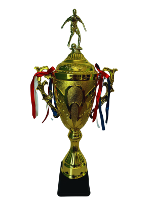 Copa de Oro 18
