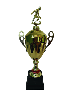Copa de Oro 19