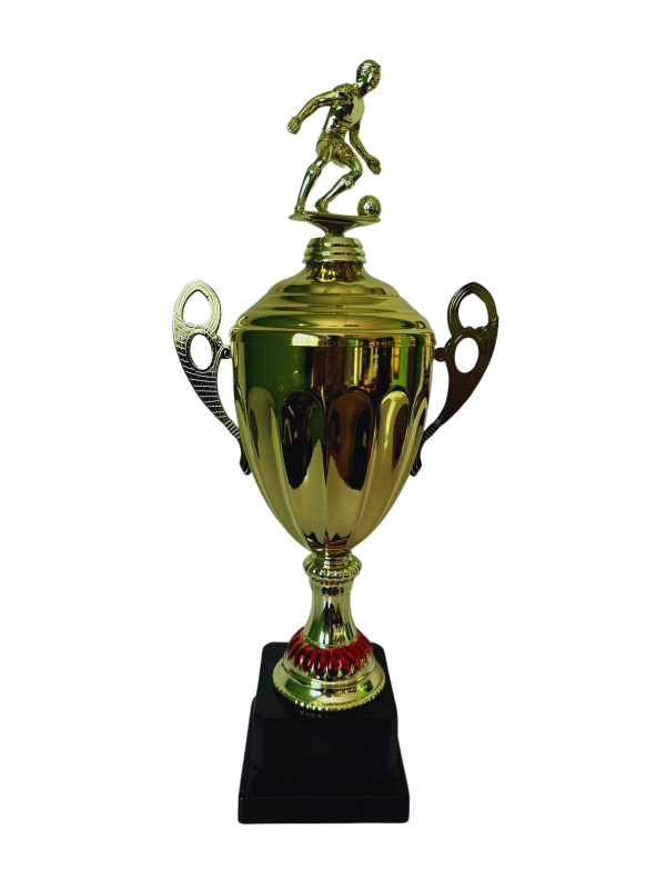 Copa de Oro 19
