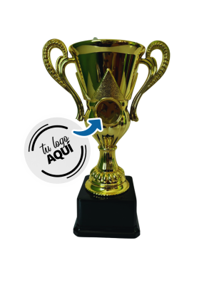 Copa de Oro 20