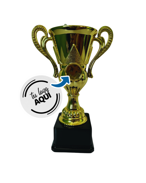 Copa de Oro 20