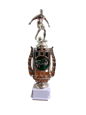 Trofeo de Futbol 12