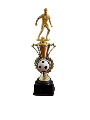 Trofeo de Futbol 14