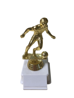 Trofeo de Futbol 02