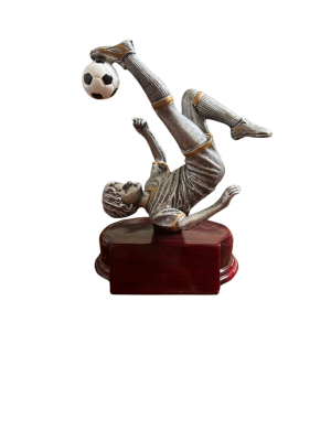 Trofeo de Futbol 07