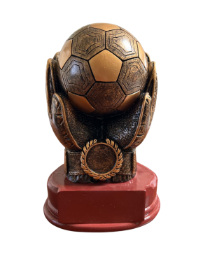 Trofeo de Futbol 08