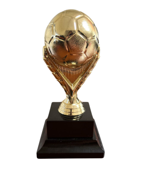 Trofeo de Futbol 09