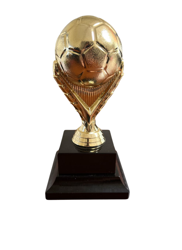 Trofeo de Futbol 09