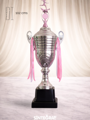 Copa Fútbol Femenino